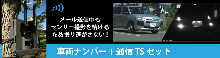 車両ナンバー＋通信TSセット夜間サンプル